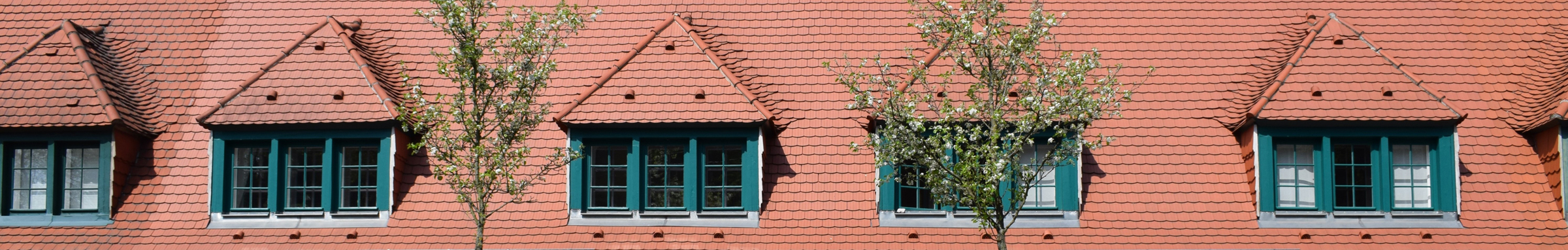 Dachlandschaft von Riemerschmidhäusern in Hellerau