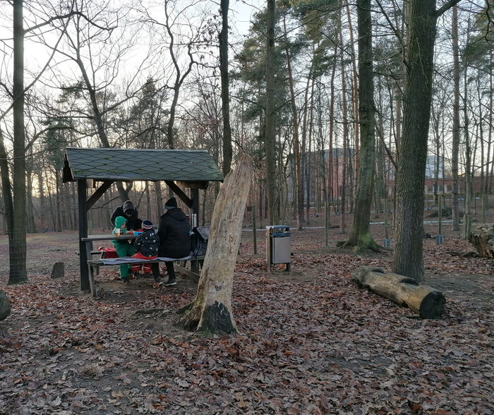 Überdachter Picknickplatz mit Tisch und Bank aus Holz im Wald, daneben mehrere Baumstämme zum Klettern und ein Papierkorb.