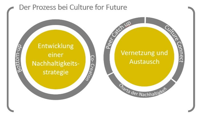 Grafische Darstellung des Prozesses bei Culture for Future. Der Prozess wird im Text beschrieben.