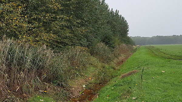 Agroforestal land use along small water streams