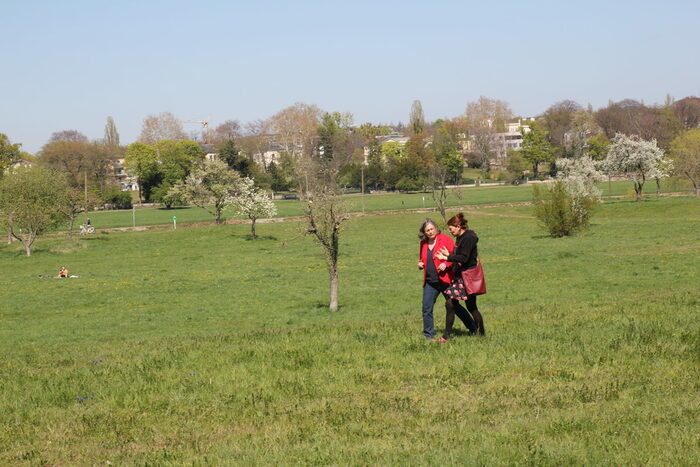 Zwei Frauen auf Streuobstwiese in der Johannstadt mit blühenden Bäumen