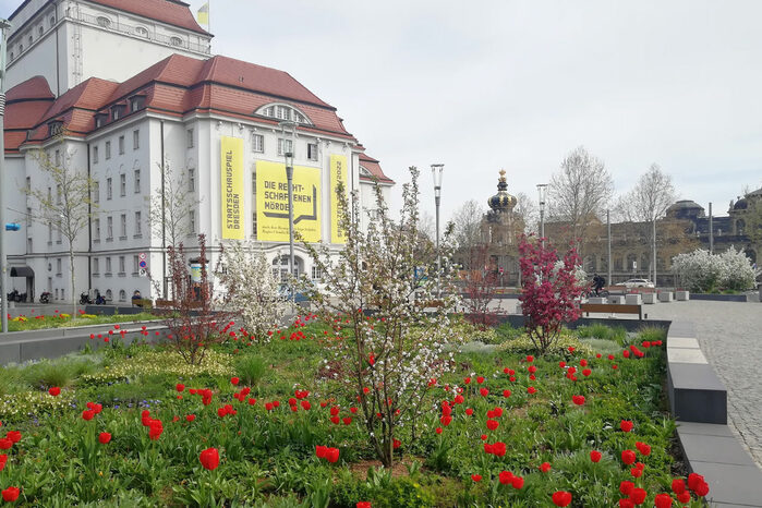 Auf dem Bild ist ein Blumenhochbeete vorm Staatsschauspiel Dresden am nördlichen Postplatz zu sehen.