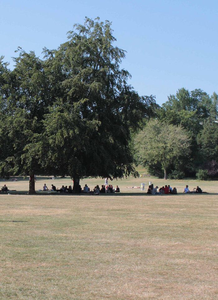 Menschen sitzen im Sommer unter einem großen Baum im Schatten, ringsherum ist vertrocknetes Gras.