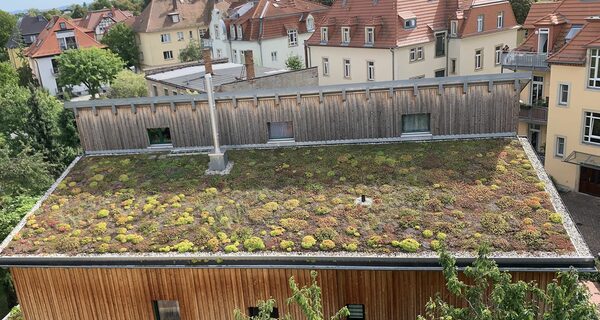 Der 2. Platz in der Kategorie "Dachbegrünung - Privateigentümer" ging an Familie Jacob aus Tolkewitz. Das Gründach gehört zum ökologischen Gesamtkonzept des Hauses.