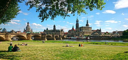 Blick von den Elbwiesen auf die Stadtsilhouette Dresdens