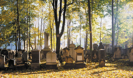 Blick über den Jüdischen Friedhof während eines sonnigen Herbsttages