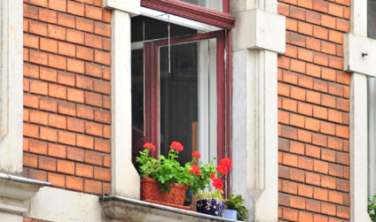 Detailaufnahme roter Blumen auf einem Fensterbrett einer Hausfassade in der Neustadt