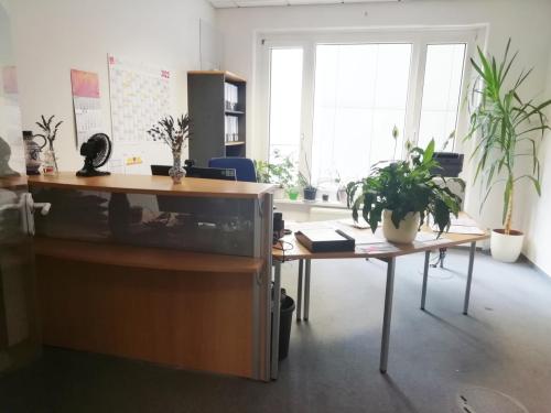 Empfang / Office
