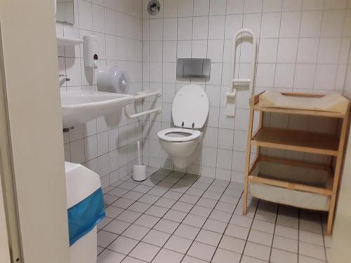 Rollstuhl-WC (Ebene 1)