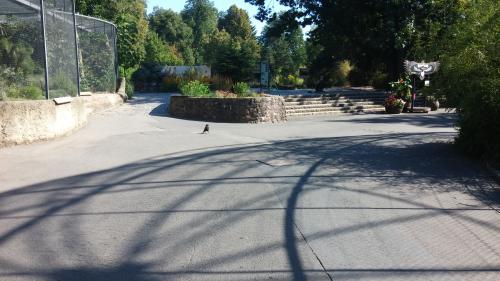 Freigehege und Tierhäuser