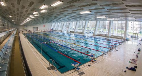 Schwimmsportkomplex Freiberger Platz