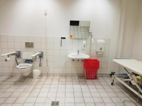 Rollstuhl-WC (EG - E 30)