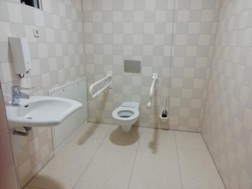 Rollstuhl-WC im UG (K35)