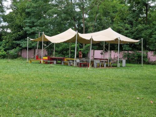 Kulturgarten Hellerau