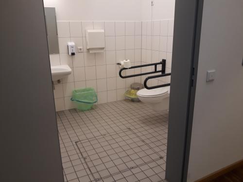 Rollstuhl-WC
