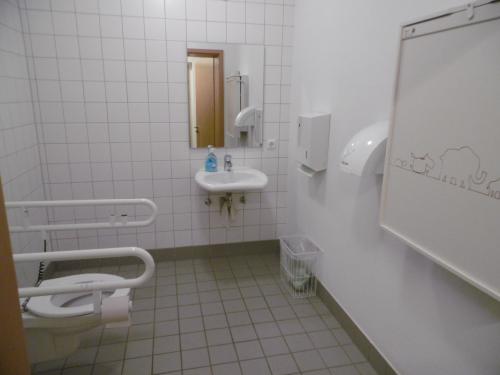 Rollstuhl-WC