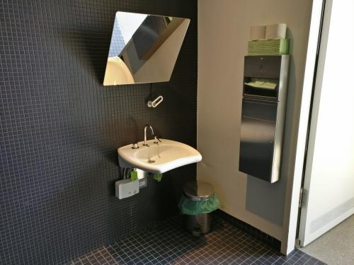 Rollstuhl-WC Erdgeschoss