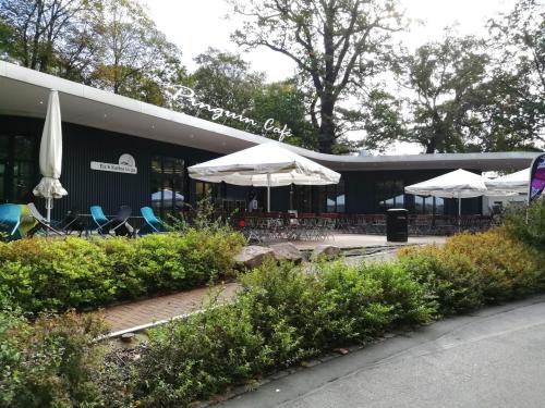 Pinguin-Café mit Innen- und Außenbereich