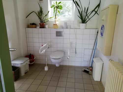 Rollstuhl-WC (Nebengebäude)