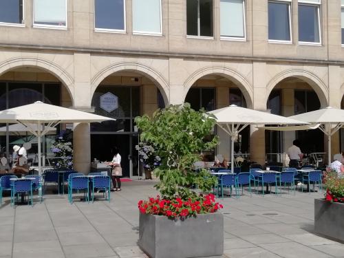 Wilma Wunder Dresden