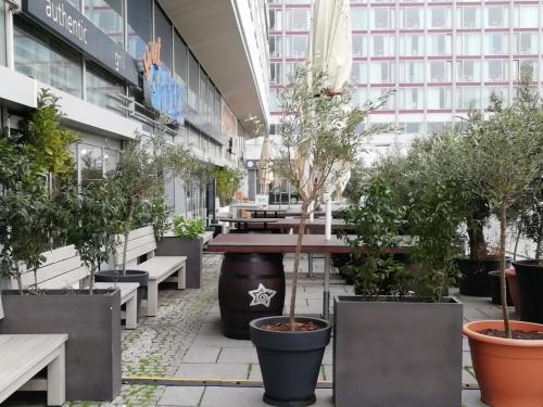 Terrasse / Außenbereich