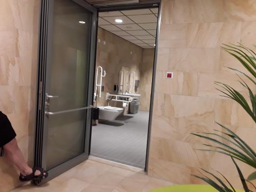 Rollstuhl-WC (Bereich Sauna)