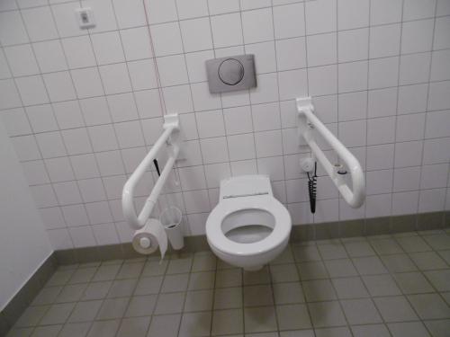 Rollstuhl-WC