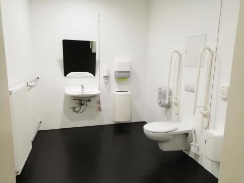 Rollstuhl-WC Staatsoperette (Hochparterre)