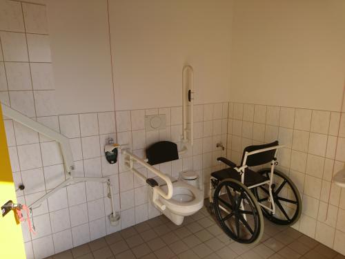 Rollstuhl-WC