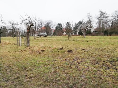 Parkanlage (südlicher Teil)