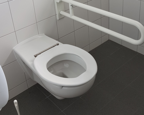 Rollstuhl-WC Herren