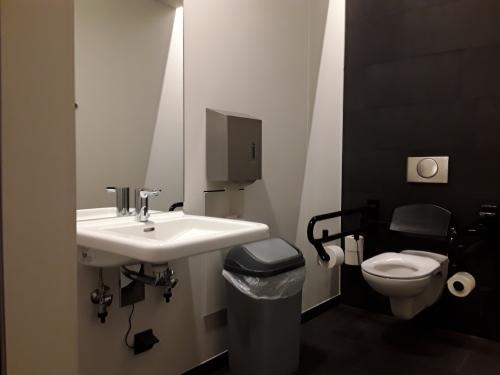 Rollstuhl-WC im 1. Rang