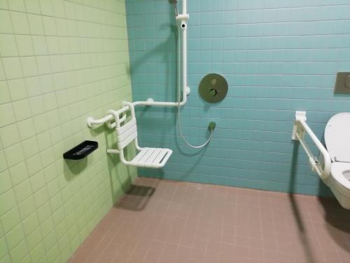 Rollstuhlgeeignete Dusche Sauna (1. OG)