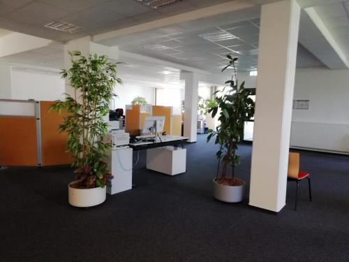 Großraumbüro mit Beratungsplätzen (EG)