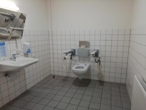 Rollstuhl-WC