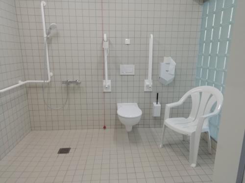 Rollstuhl-WC Herren Altbau