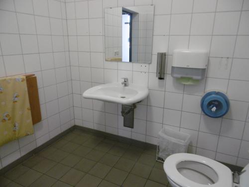 Rollstuhl-WC