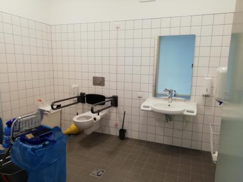 Rollstuhl-WC (E 016 - Gartenhaus)