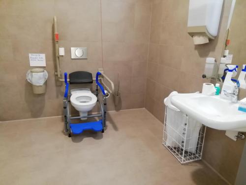 Rollstuhl-WC (EG - R 016)
