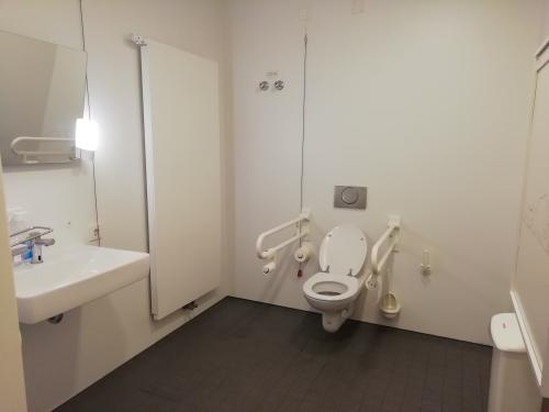 Rollstuhl-WC (Neubau - EG)