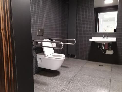 Rollstuhl-WC (Erdgeschoss)