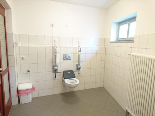 Rollstuhl-WC