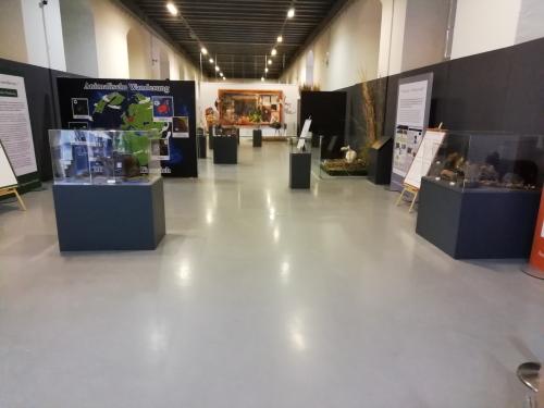 Ausstellungsraum 1. OG (Wechselnde Ausstellung)