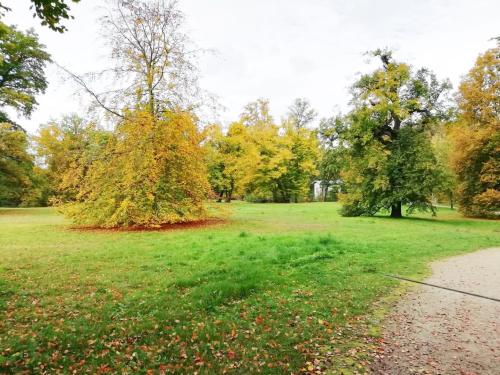 Park Schloss Albrechtsberg