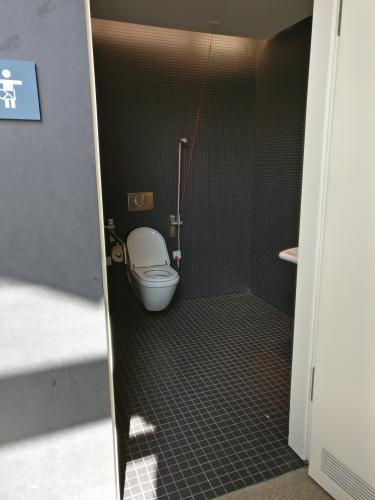 Rollstuhl-WC Erdgeschoss