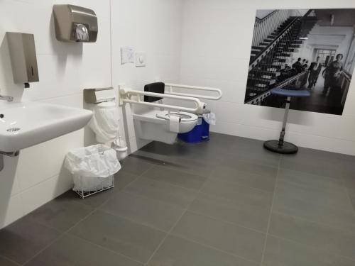 Rollstuhl-WC (Erdgeschoss)