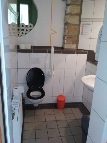 Rollstuhl-WC