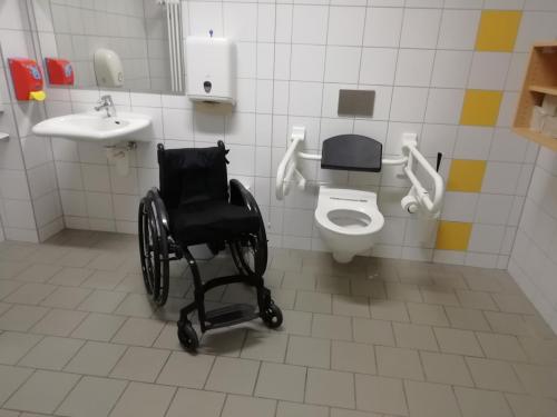 Rollstuhl-WC (EG)