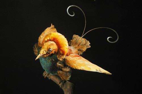 Bild von SENCKENBERG Naturmuseum Dresden