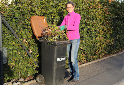 Loading organic waste bin with green waste